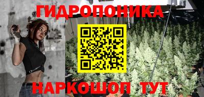 шишки Волжский
