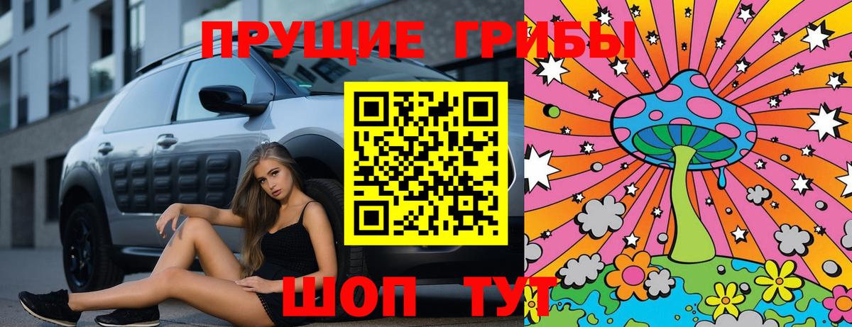 Псилоцибиновые грибы мицелий Новосибирск