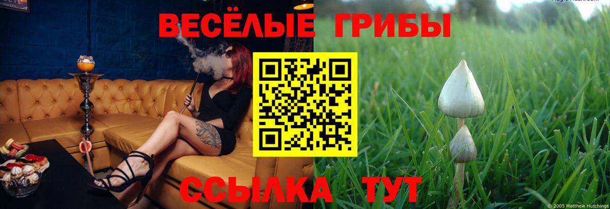 Псилоцибиновые грибы ЛСД  Вход с VPN  Новосибирск  Псилоцибиновые грибы ЛСД 